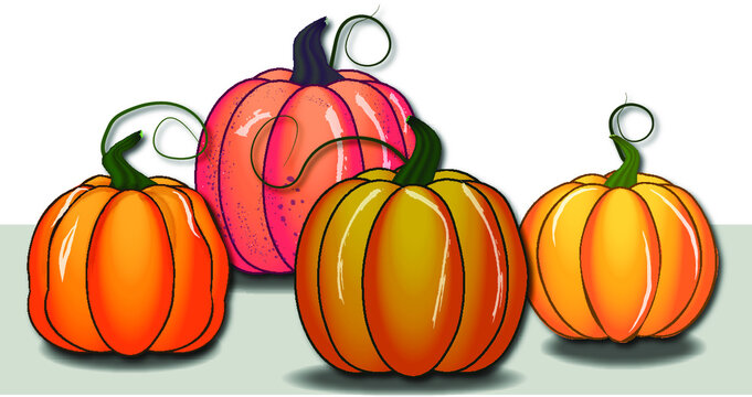  Orange pampkin isolated on white. Autumn harvest. For halloween and thanksgiving day design. Vector illustration