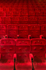 Fototapeta premium Empty comfortable red seats with numbers in the hall of the cinema or theater