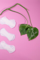 Fototapeta premium individual hygeine items for females during menstruation period