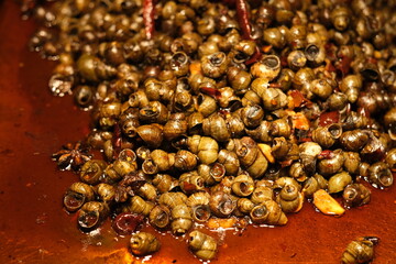 close up stir fried snails with spice. Traditional spicy snack in China