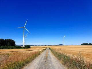 country road in summer