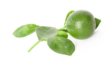 Juicy lime isolated on white background