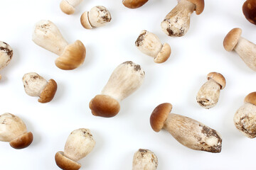 Fresh Boletus edulis mushroom (English: penny bun, porcini, king bolete or cep) isolated on white background. Flat lay. Close up.