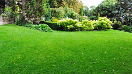 garden lawn