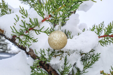 christmas ball on the tree