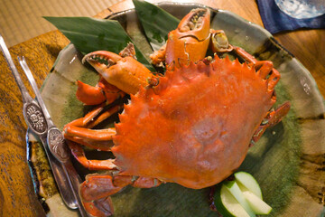 沖縄県八重山諸島 石垣島のグルメ ノコギリガサミ