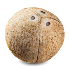 Organic ripe coconuts isolated on the white background