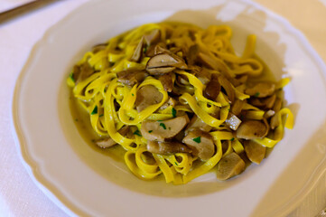 Tasty homemade tagliatelle pasta with fresh harvested boletus porcini mushrooms in creamy sauce