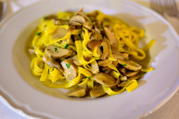 Tasty homemade tagliatelle pasta with fresh harvested boletus porcini mushrooms in creamy sauce