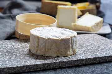 Cheese collection, French soft Camembert of Normandy cheese made from cow milk in region Normandy, France