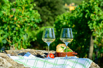 Summer picnic or wine tasting of white wine on vineyards in Lazio, Italy