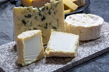 Cheese collection, French cheeses made from goat, cow and sheep melk: semi hard Roquefort blue cheese, soft Chabichou of Poitou and Camembert of Normandy