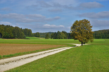 Herbstlandschaft auf der Schwäbischen Alb
