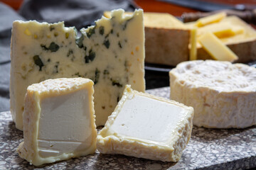 Cheese collection, French cheeses made from goat, cow and sheep melk: semi hard Roquefort blue cheese, soft Chabichou of Poitou and Camembert of Normandy