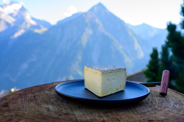 Cheese collection, French tomme de savoie or tome des bauges cheese served outdoor with Alpine...