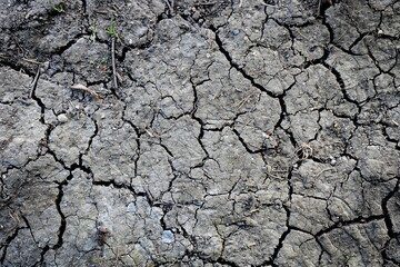 dry earth