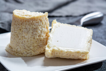 Cheese collection, French soft Chabichou of Poitou cheese made from goat milk in region Nouvelle-Aquitaine, France
