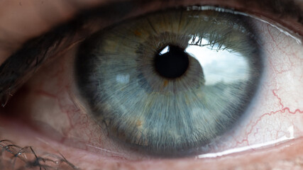 Naklejka premium Macro Eye Collection