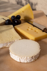 French cheese collection on marble board, emmental, carre de aurillac, petit cantal AOP Jeune, buche chevre, brie