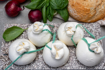 Cheese collection, fresh soft Italian cheese from Puglia, white balls of burrata or burratina cheese made from mozzarella and cream filling