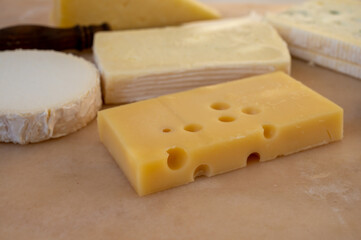 French cheese collection on marble board, emmental, carre de aurillac, petit cantal AOP Jeune, buche chevre, brie