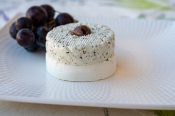 Cheese collection, French soft white goat cheese with herbs of Provence and olives