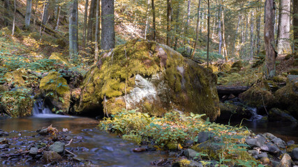 Kleiner Bach im Wald