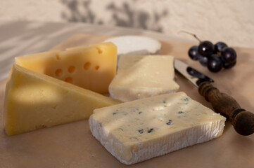 French cheese collection on marble board, emmental, carre de aurillac, petit cantal AOP Jeune, buche chevre, brie