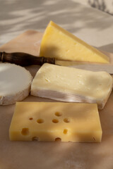 French cheese collection on marble board, emmental, carre de aurillac, petit cantal AOP Jeune, buche chevre, brie