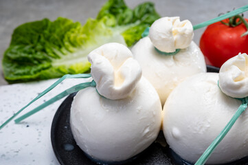 Cheese collection, fresh soft Italian cheese from Puglia, white balls of burrata or burratina cheese made from mozzarella and cream filling
