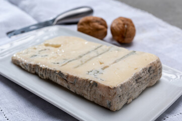 Italian food, buttery or firm blue cheese made from cow milk in Gorgonzola, Milan, Italy