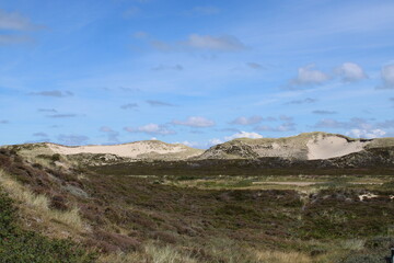 Fototapeta na wymiar Being isolated in the dunes at Ellenbogen in the North of Sylt close to the village of List