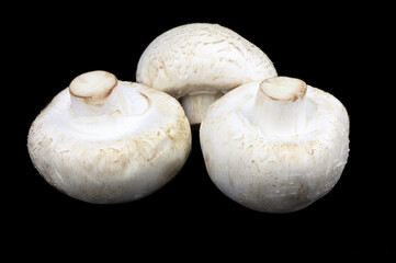Mushrooms champignons isolated on a black background. Vegan food. Healthy food