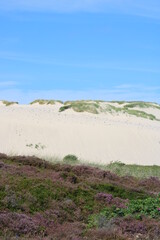 Being isolated in the dunes at Ellenbogen in the North of Sylt close to the village of List