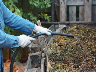 Storing organic fertilizers in compost heaps.A woman sprinkles a manure heap from waste and animal manure with water for early decay.