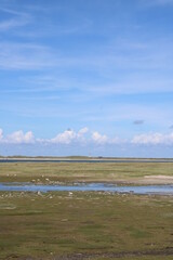 Being isolated in the dunes at Ellenbogen in the North of Sylt close to the village of List