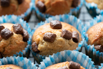 chocolate chip muffin food background 