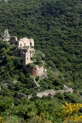 Fototapeta na wymiar Montfort Castle in the Galilee area of Israel