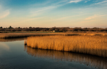 The river Meon running through Titchfield Haven on a sunny winter's afternoon.