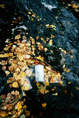 A face mask floats down a river. symbolic for the covid-19 times. 
