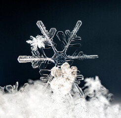 natural snowflakes on snow, winter