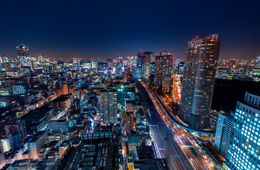 Obraz na płótnie Canvas Tokyo, Japan cityscape view from high above