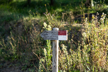 Wooden arrow-shaped sign to show the way with wild flowers, hiking trail