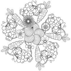 Gordijnen Mandala Circular Pattern. Leafs Plants and Flowers in Monochrome colors. Doodles pattern. Decorative pattern in a natural style. Coloring book page.  © SkyeCreativeStudio