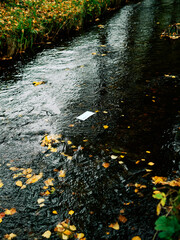 A face mask floats down a stream or river. Symbolic for the covis-19 times and the environment. Pollution in the nature. 