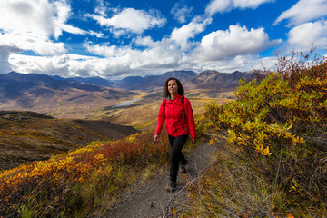Obraz premium Scenic View of Woman Hiking on a Cloudy Fall Day in Canadian Nature. Taken in Tombstone Territorial Park, Yukon, Canada.