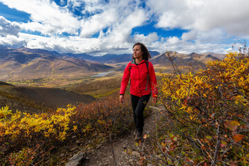 Obraz premium Scenic View of Woman Hiking on a Cloudy Fall Day in Canadian Nature. Taken in Tombstone Territorial Park, Yukon, Canada.