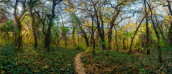 Rinconada Panoramica