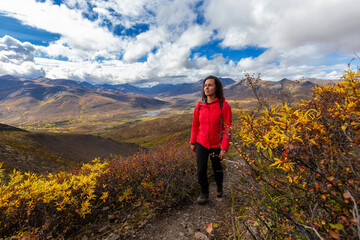 Naklejka premium Scenic View of Woman Hiking on a Cloudy Fall Day in Canadian Nature. Taken in Tombstone Territorial Park, Yukon, Canada.