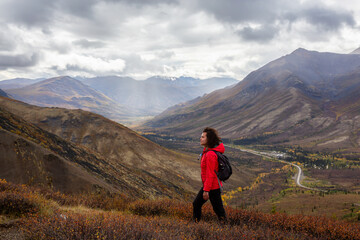 Obraz premium View of Woman Hiking and Scenic Road from Above surrounded by Trees in Canadian Nature. Aerial Shot. Taken in Tombstone Territorial Park, Yukon, Canada.
